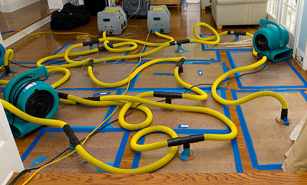 Professional Burst Pipe Water Damage technician working in Lynn, MA